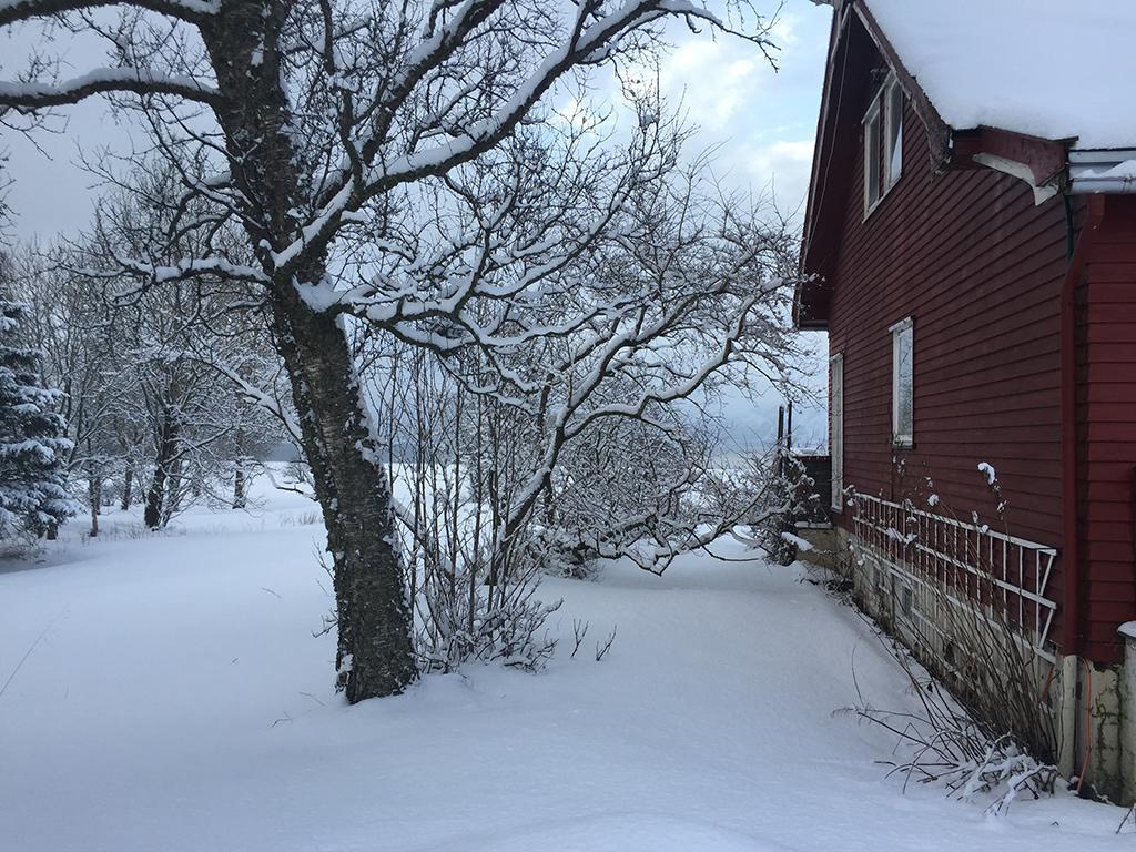Penzion Bo Huset Sortland Exteriér fotografie