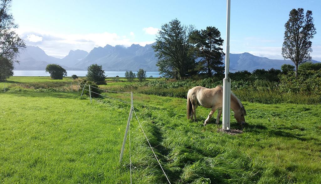 Penzion Bo Huset Sortland Exteriér fotografie